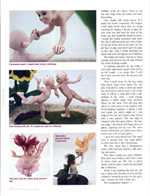 Article Page 5